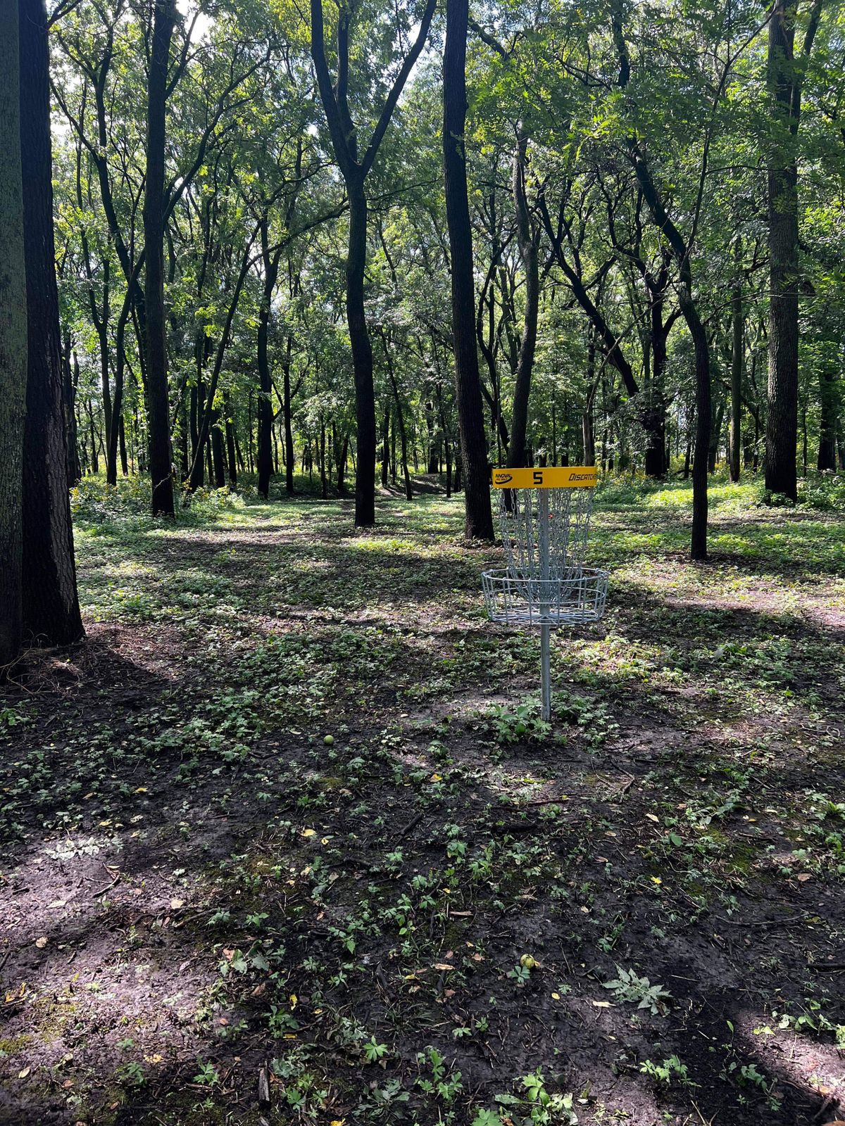 Hole 5 basket