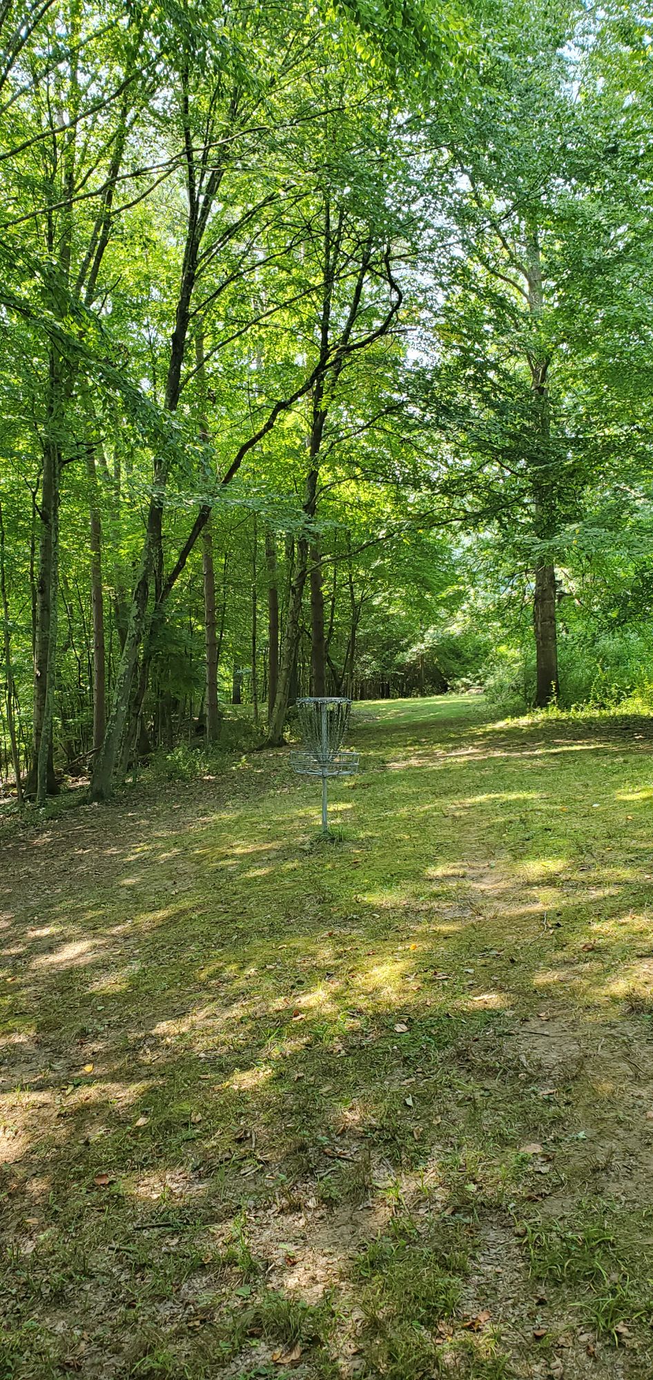 Hole 11's green. Looking back towards the tee.
