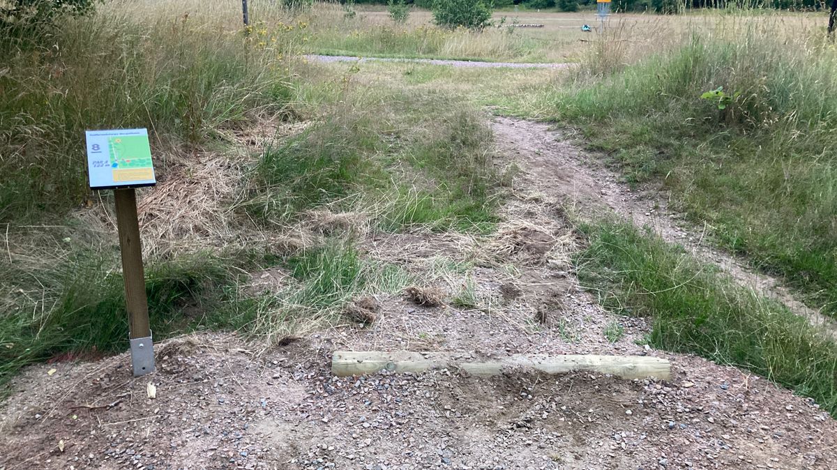 Tee 8