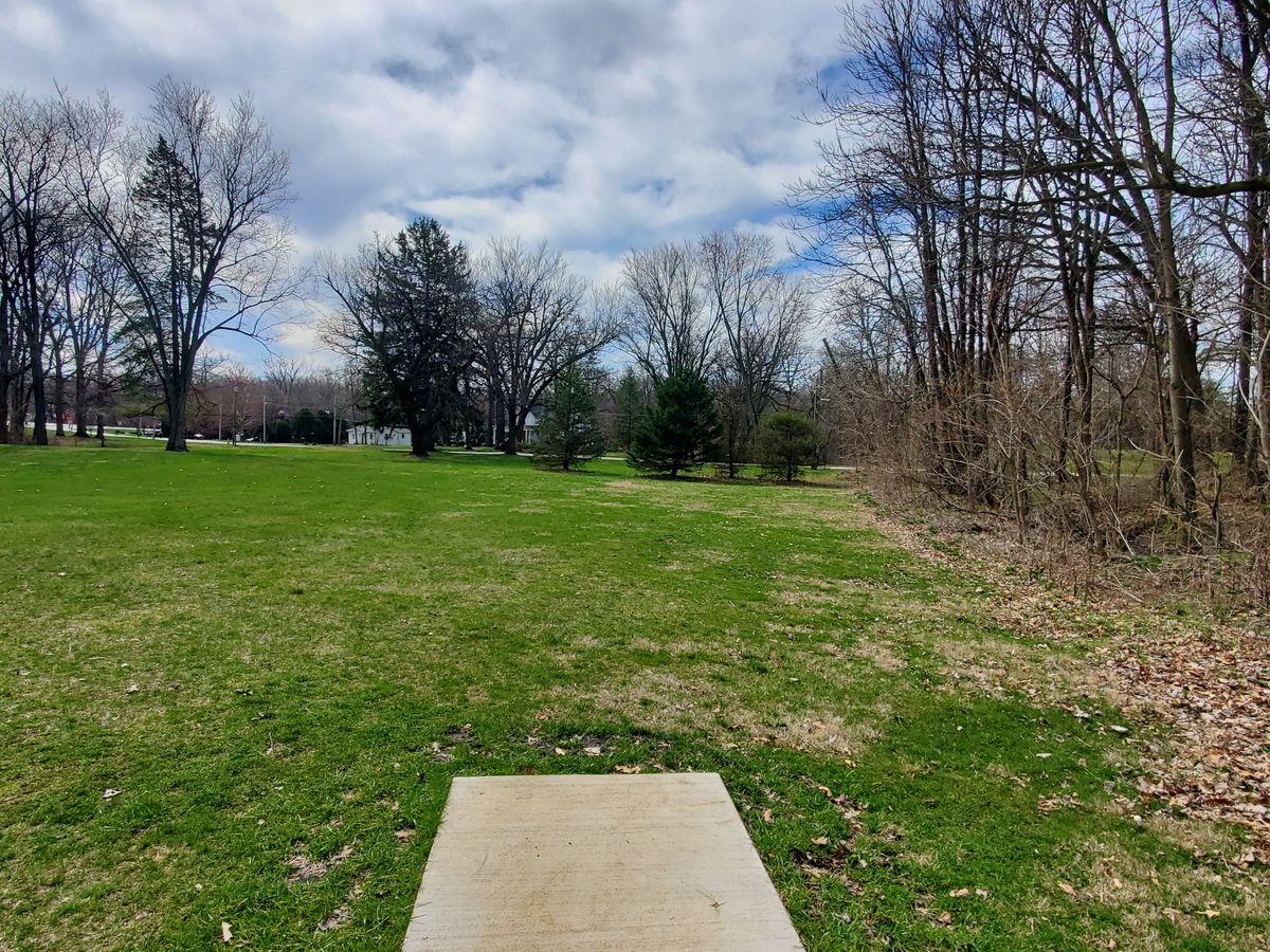 Hole 7 basket behind row of trees