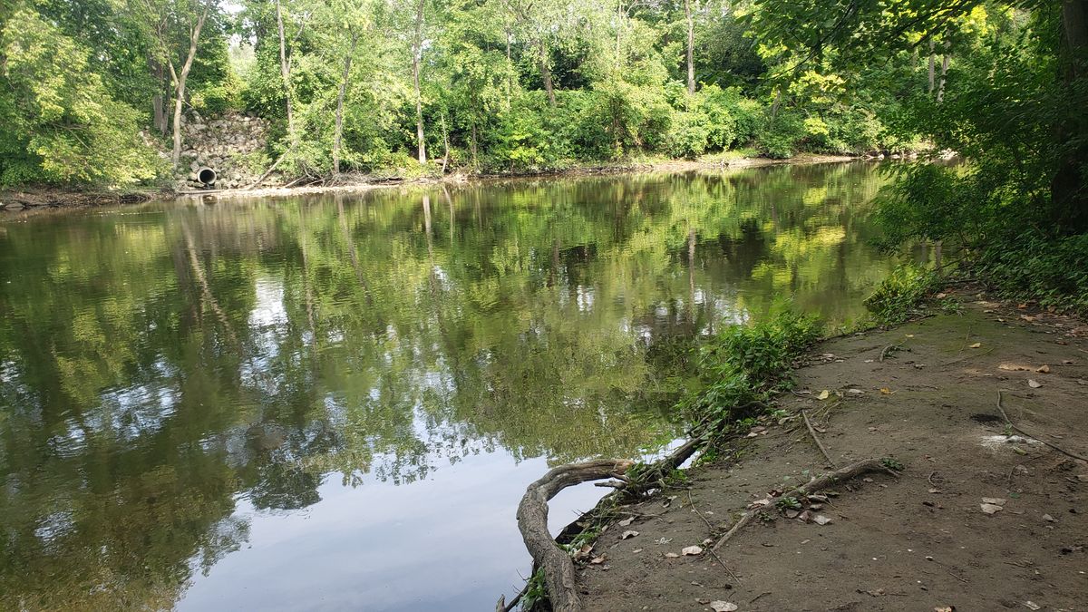 Ducks and snapping turtles make for great adventure.  Dope fishing spot as well.