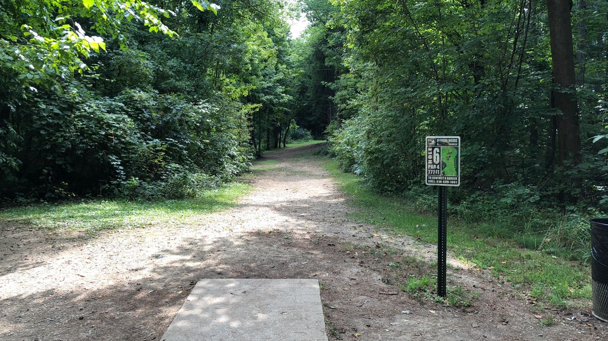 Hole 6