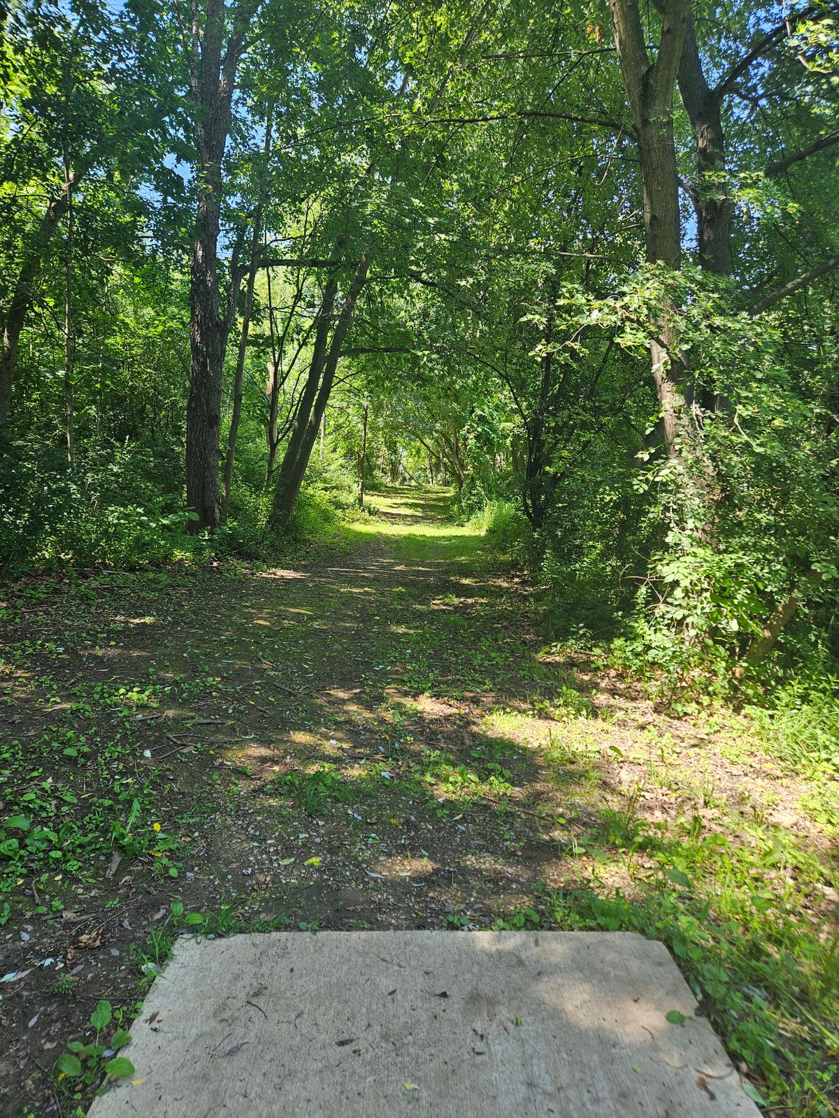 Hole 8 teepad