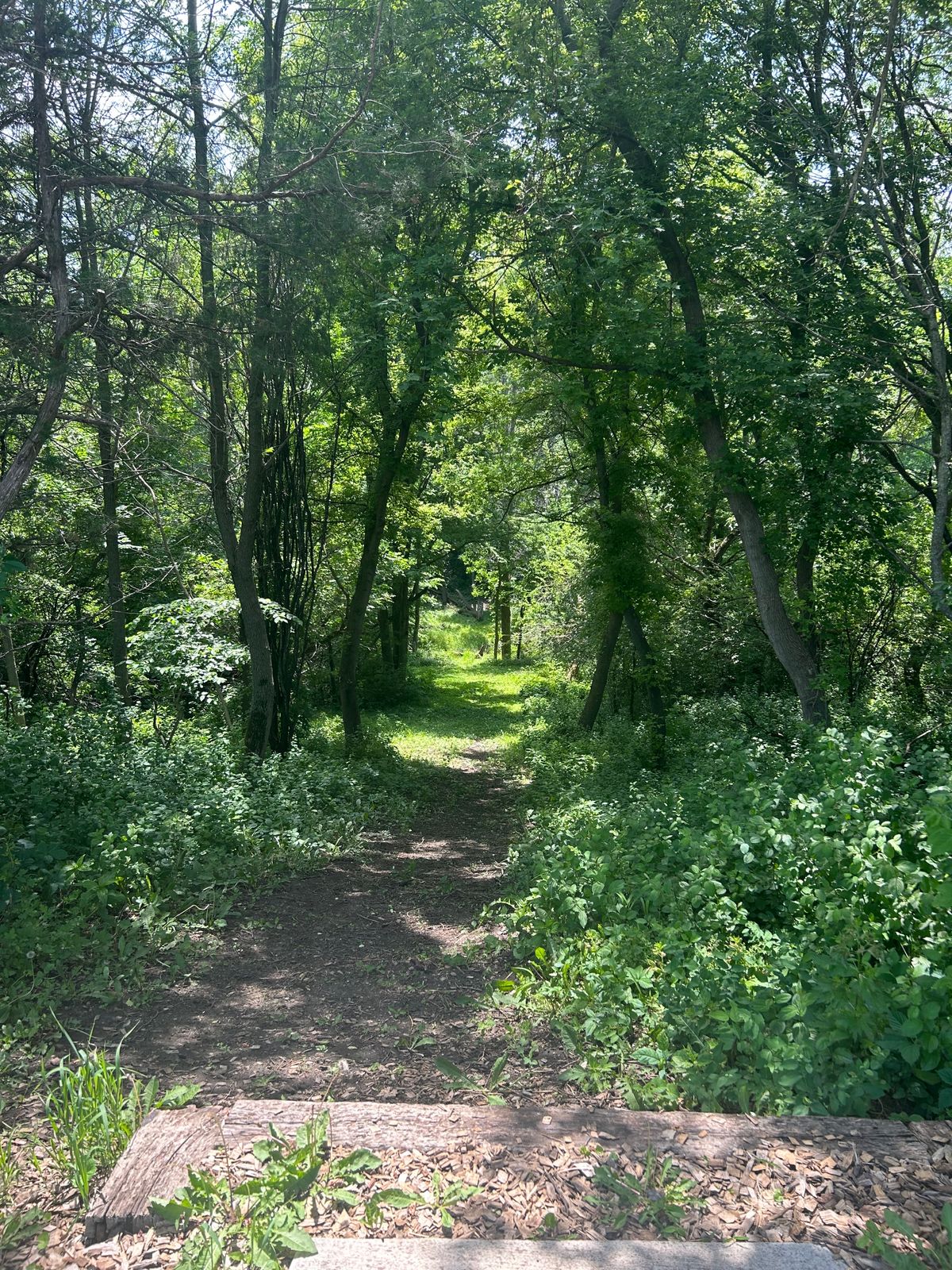 Hole 7