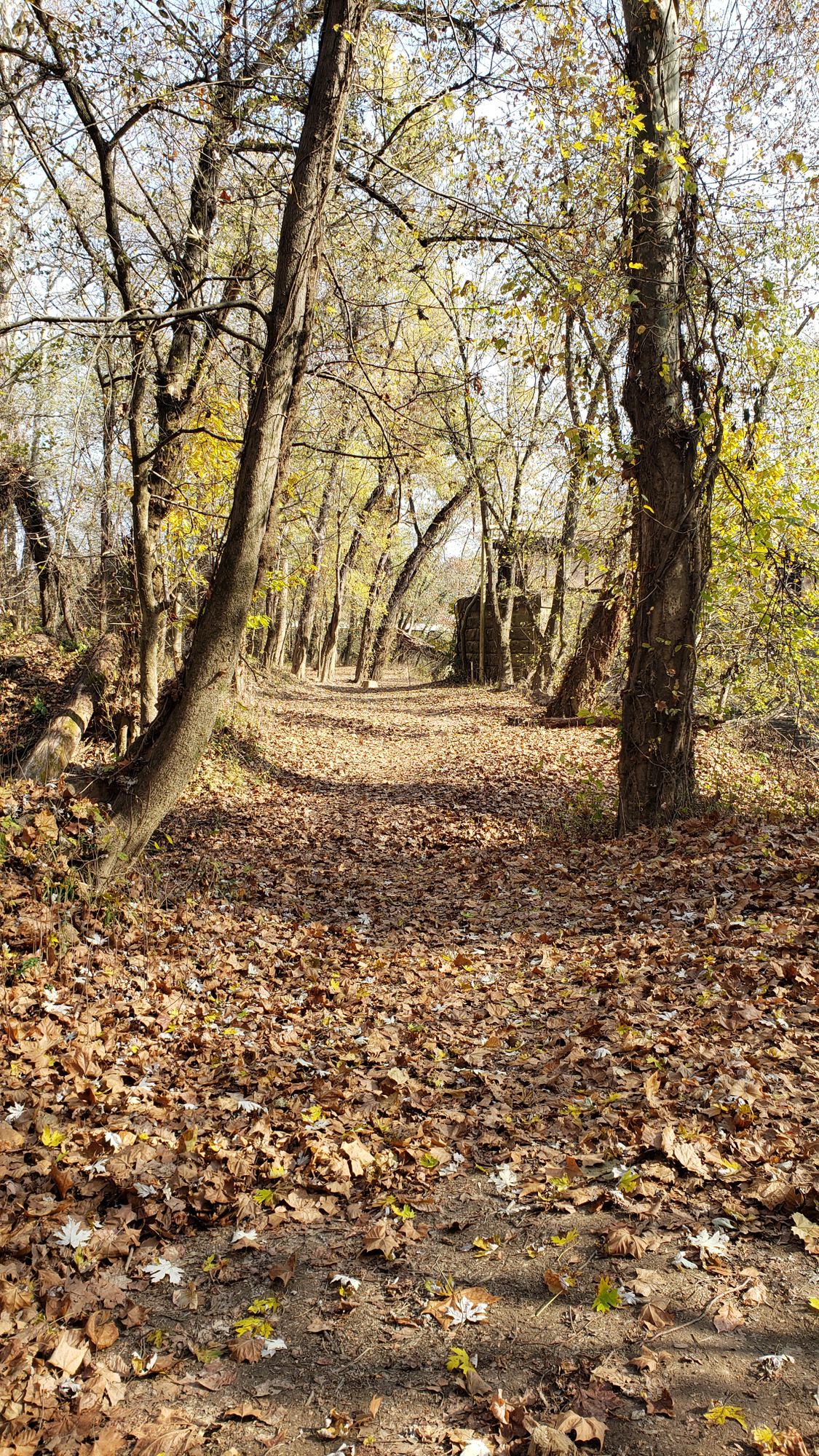 Tee for 7 - Old Bridge hole