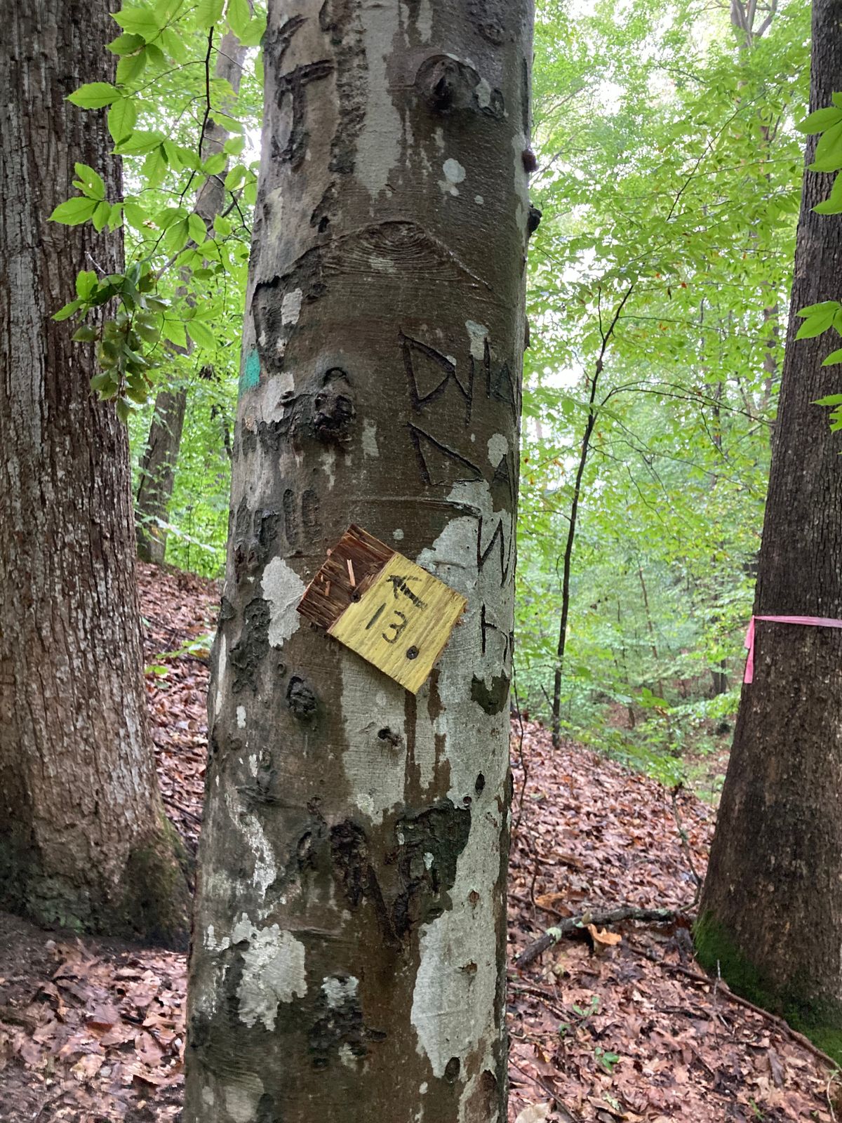 Small marker for hole 13
