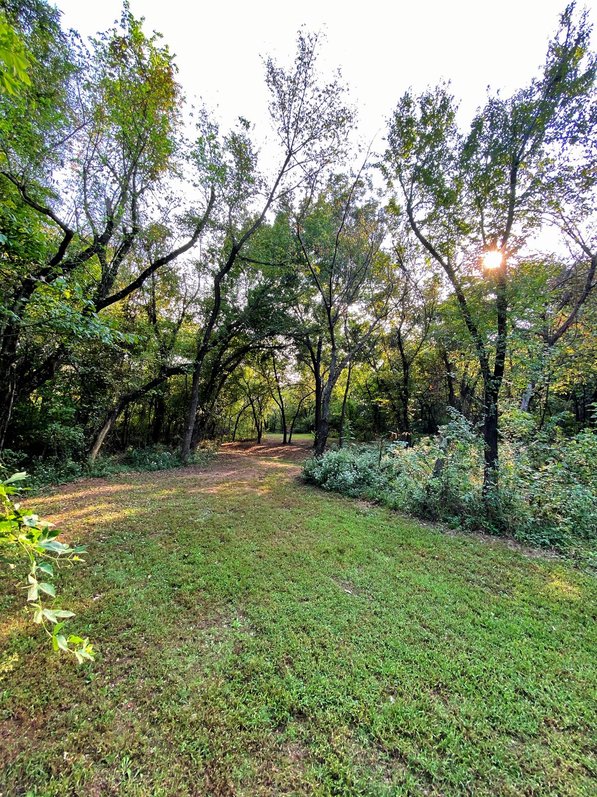 Hole 7 - midway along fairway around the dogleg right to basket