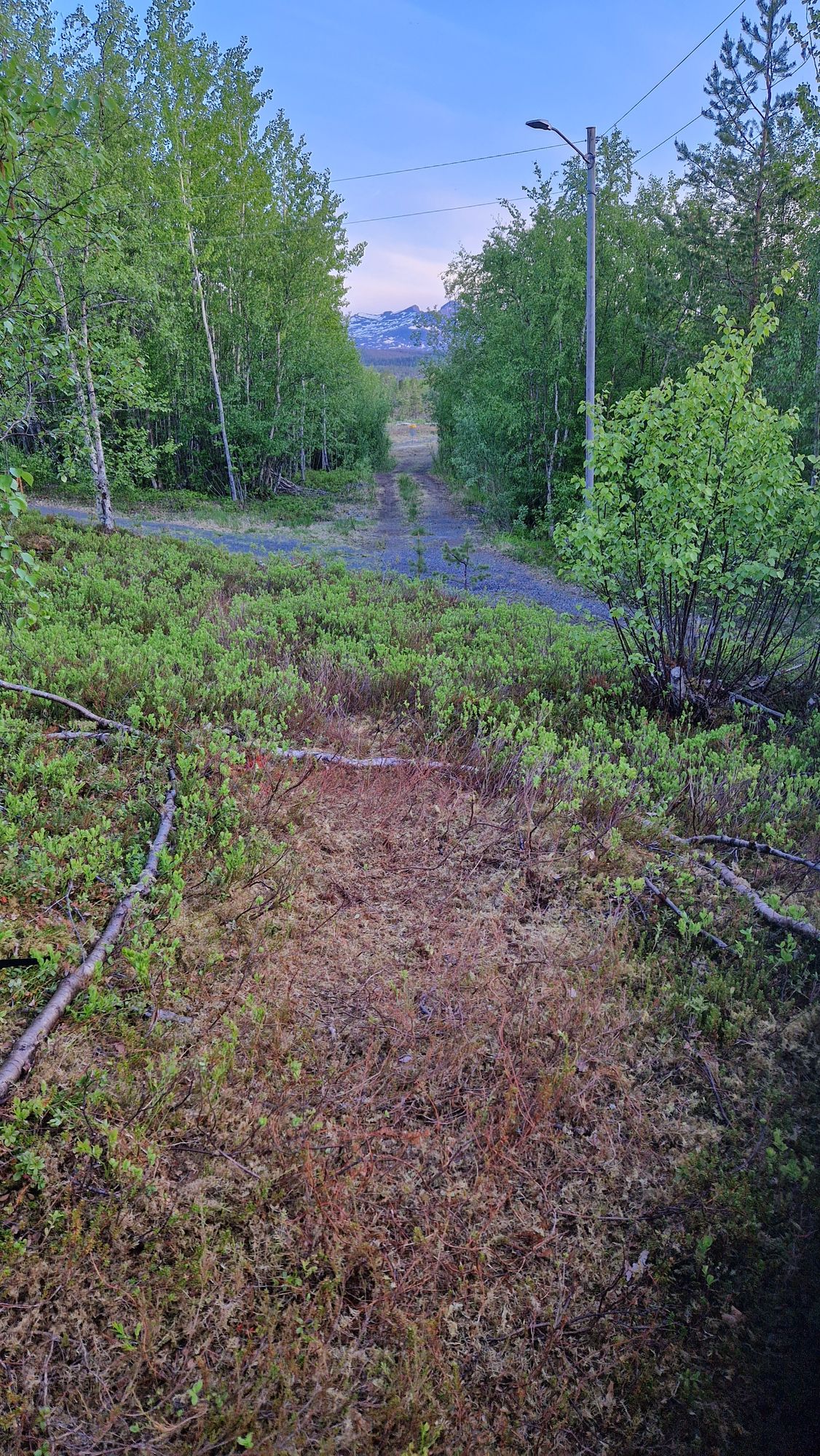 Hole 9.