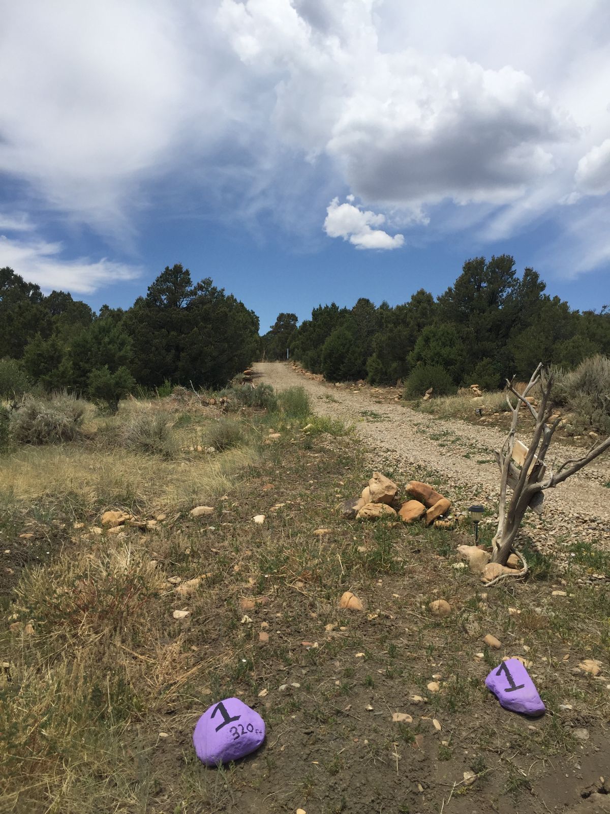Hole 1 is tricky uphill narrow fairway
