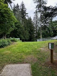 Hole 5 - White Tee