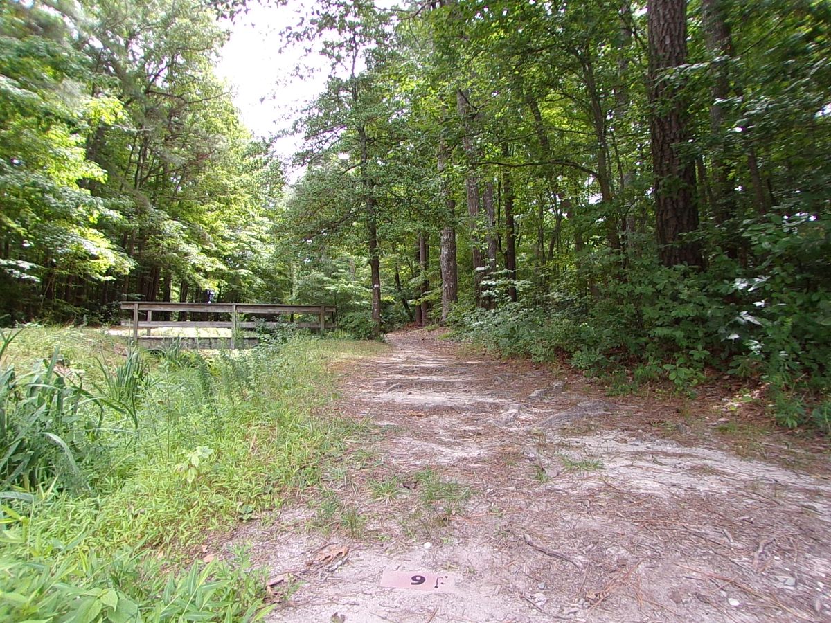 Hole 9's tee area. Basket is hidden up past the mando and to the right.