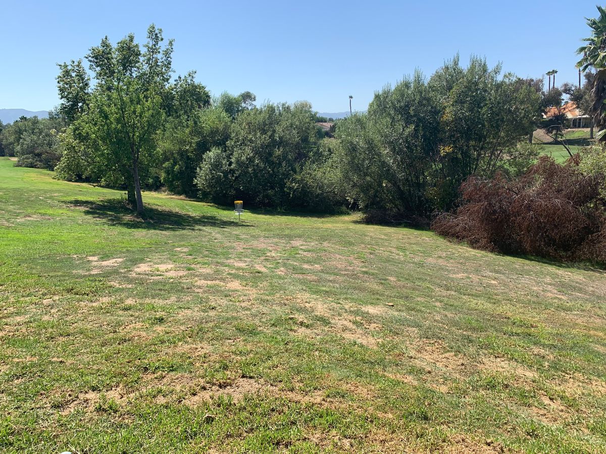 Alpha Hole 15