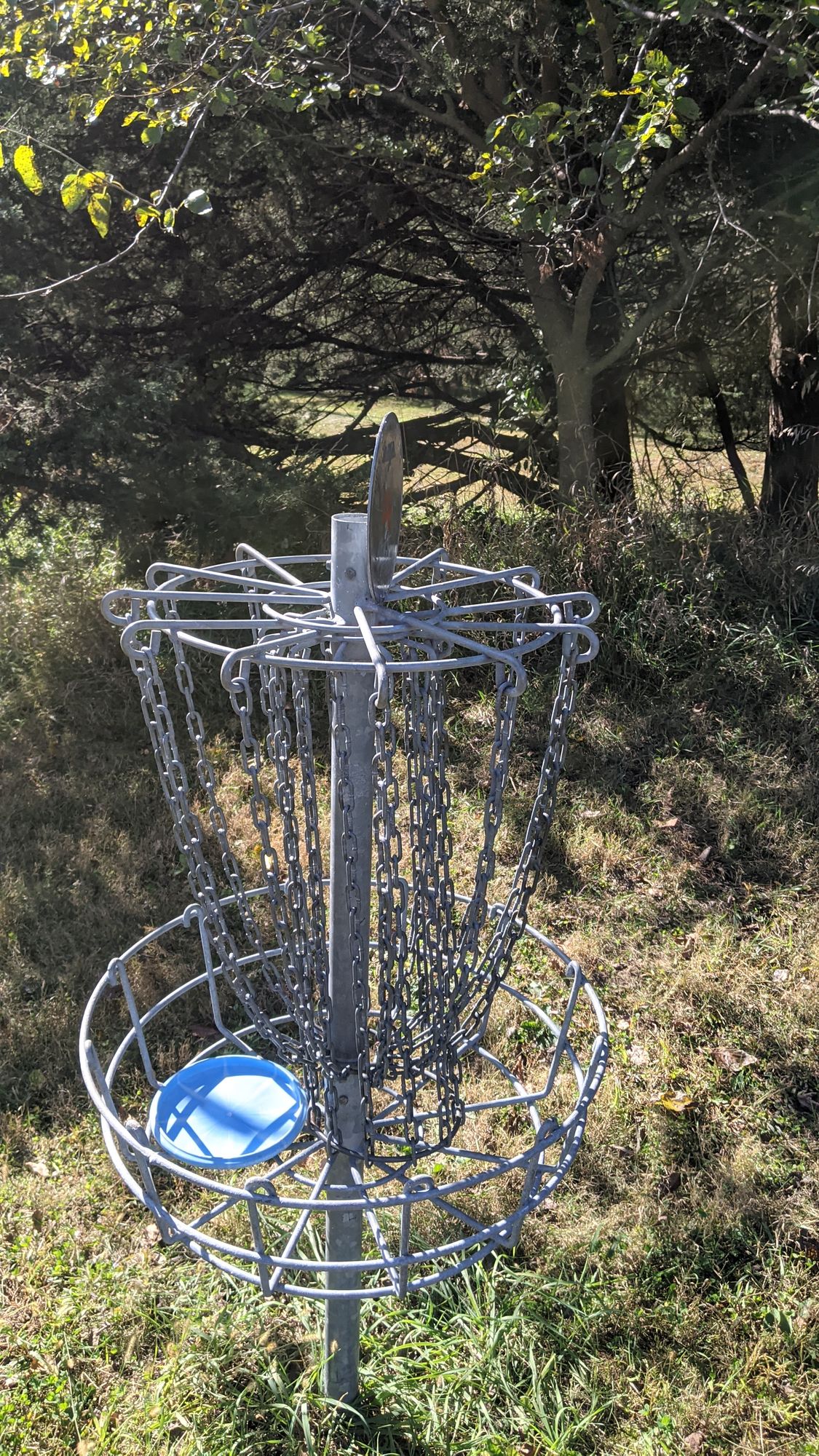 #4 Basket with #5 Tee other side of trees.