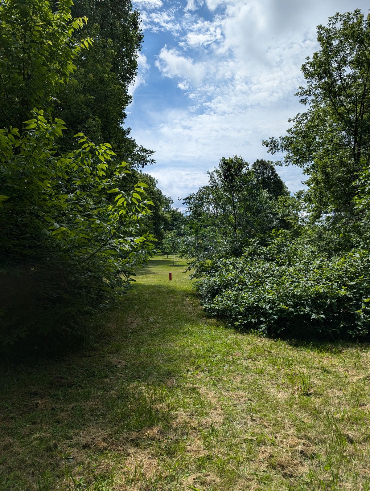 Tee of hole 2 alternate layout