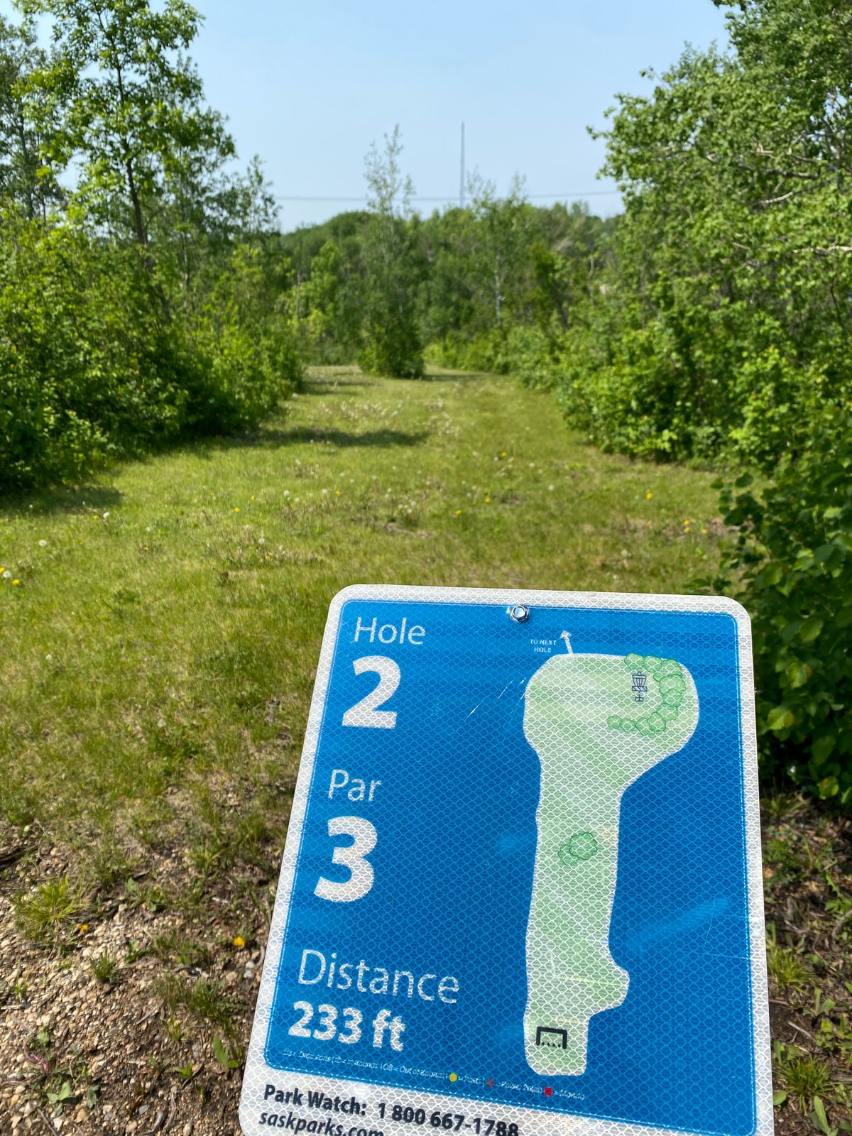 #2 Fairway
