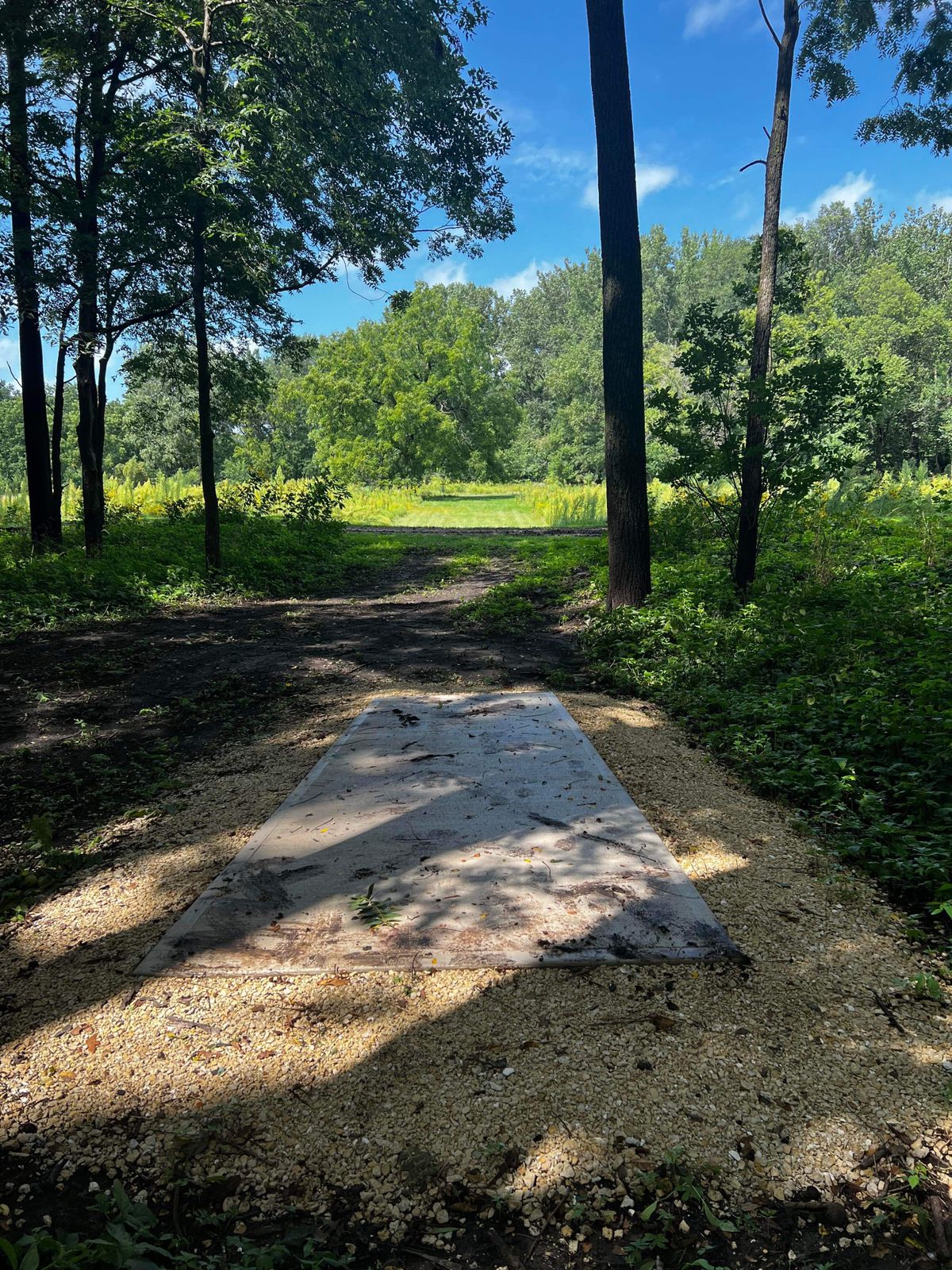 Hole 6