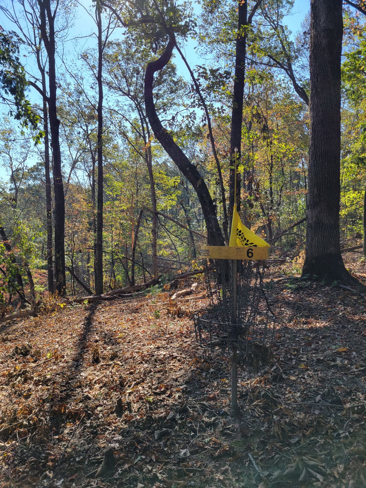 Hole 6 (yellow basket) post hurricane Helene
