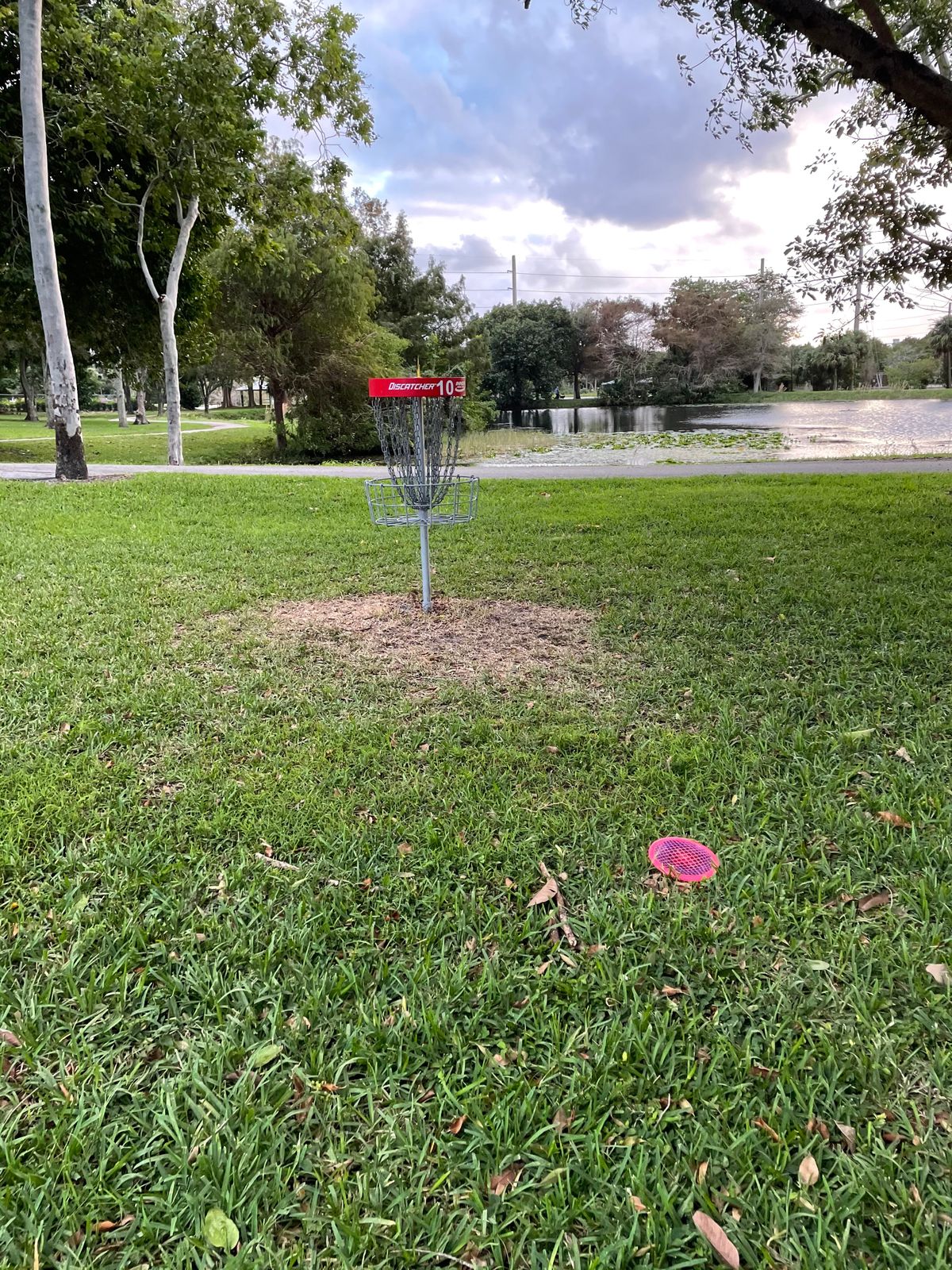 Hole 10 Basket