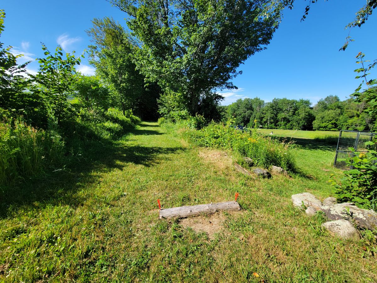 Hole 5 teebox (red)