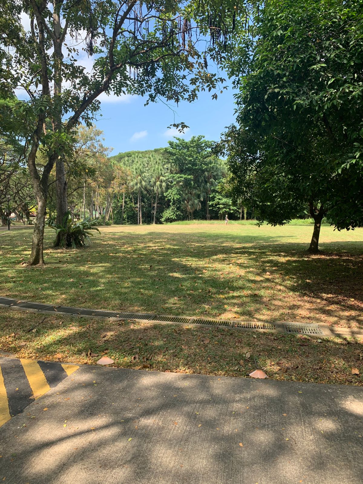 Hole 11 Tee