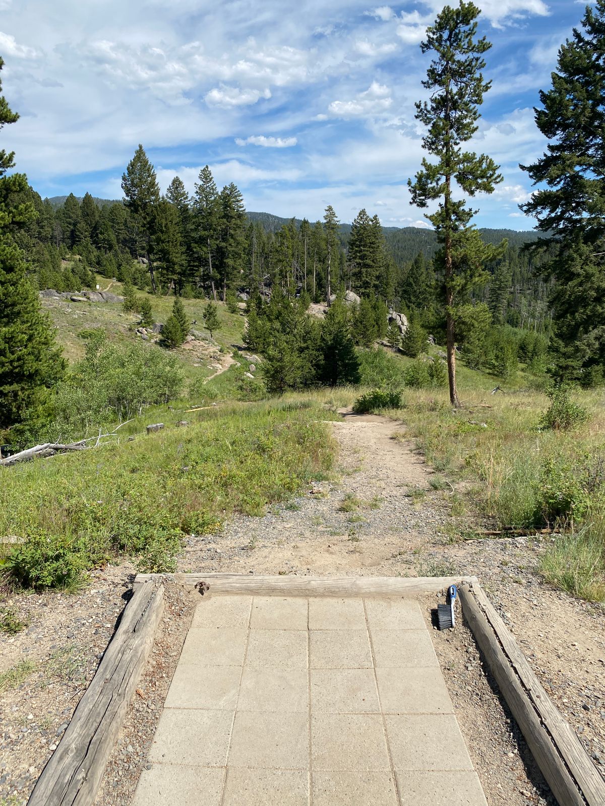 Hole 2 throws across a small valley to a ridge with the basket.