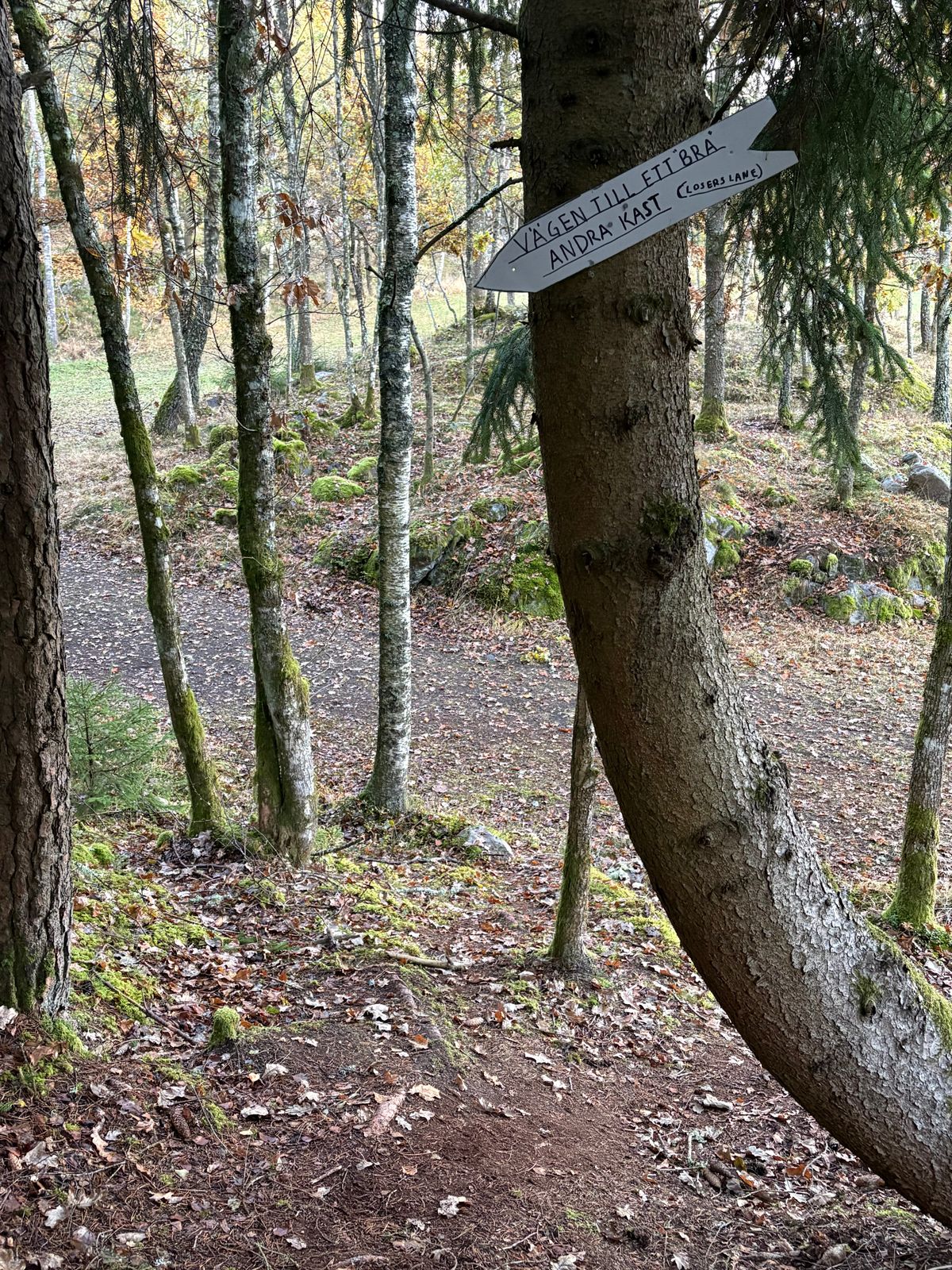 Framtidsdröm