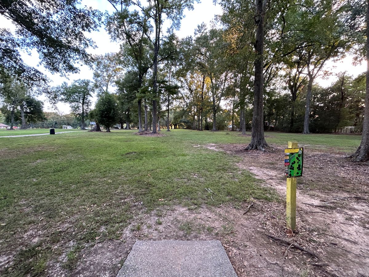 Hole 16 Fairway