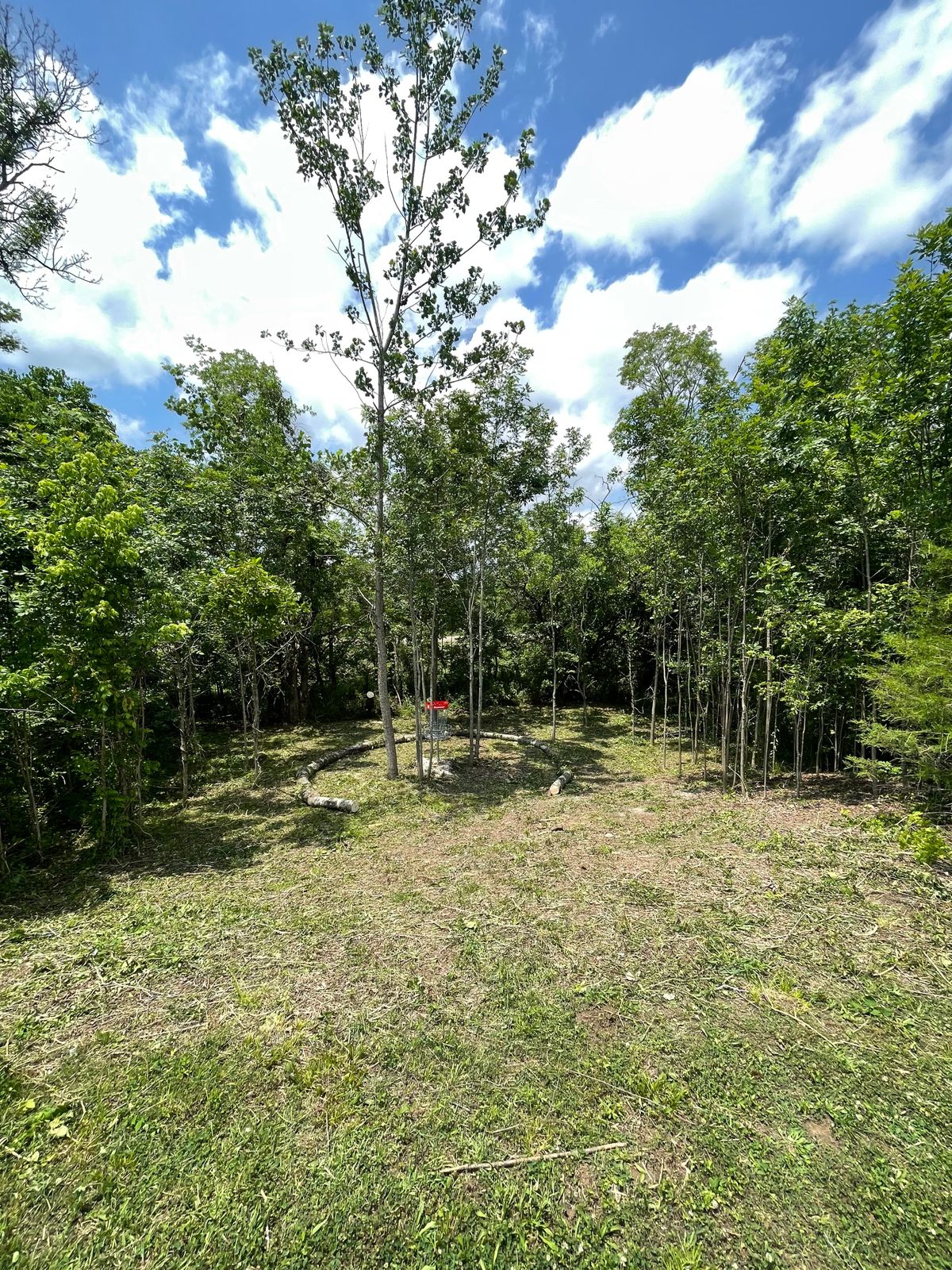 Hole 8 Green
