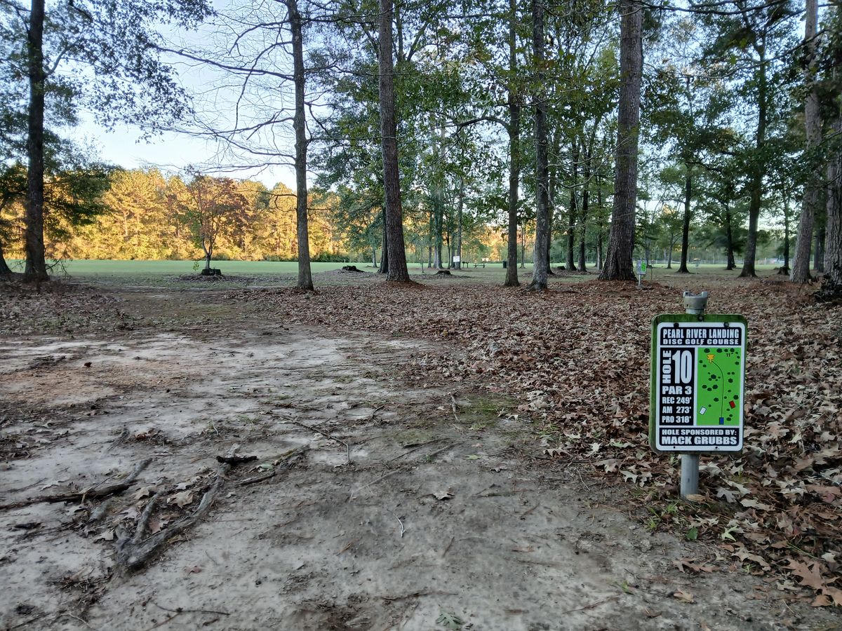 Hole 10 Blue tee (long)