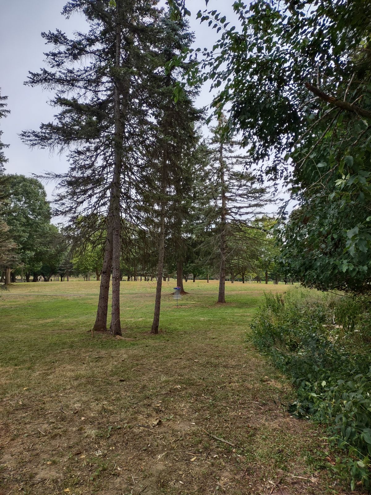 Hole 8 approach