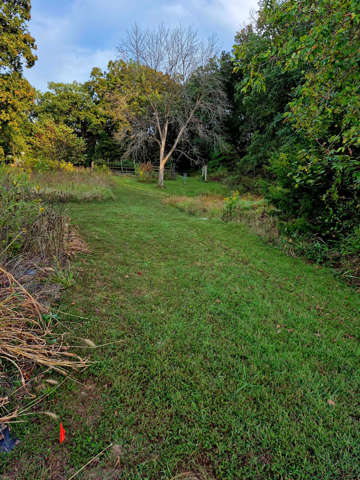 Hole 2
Tee to Basket