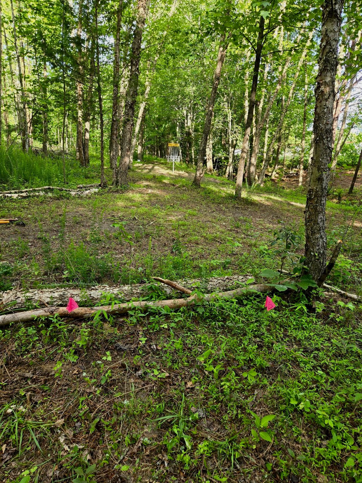 Hole 3 White - Drop Zone