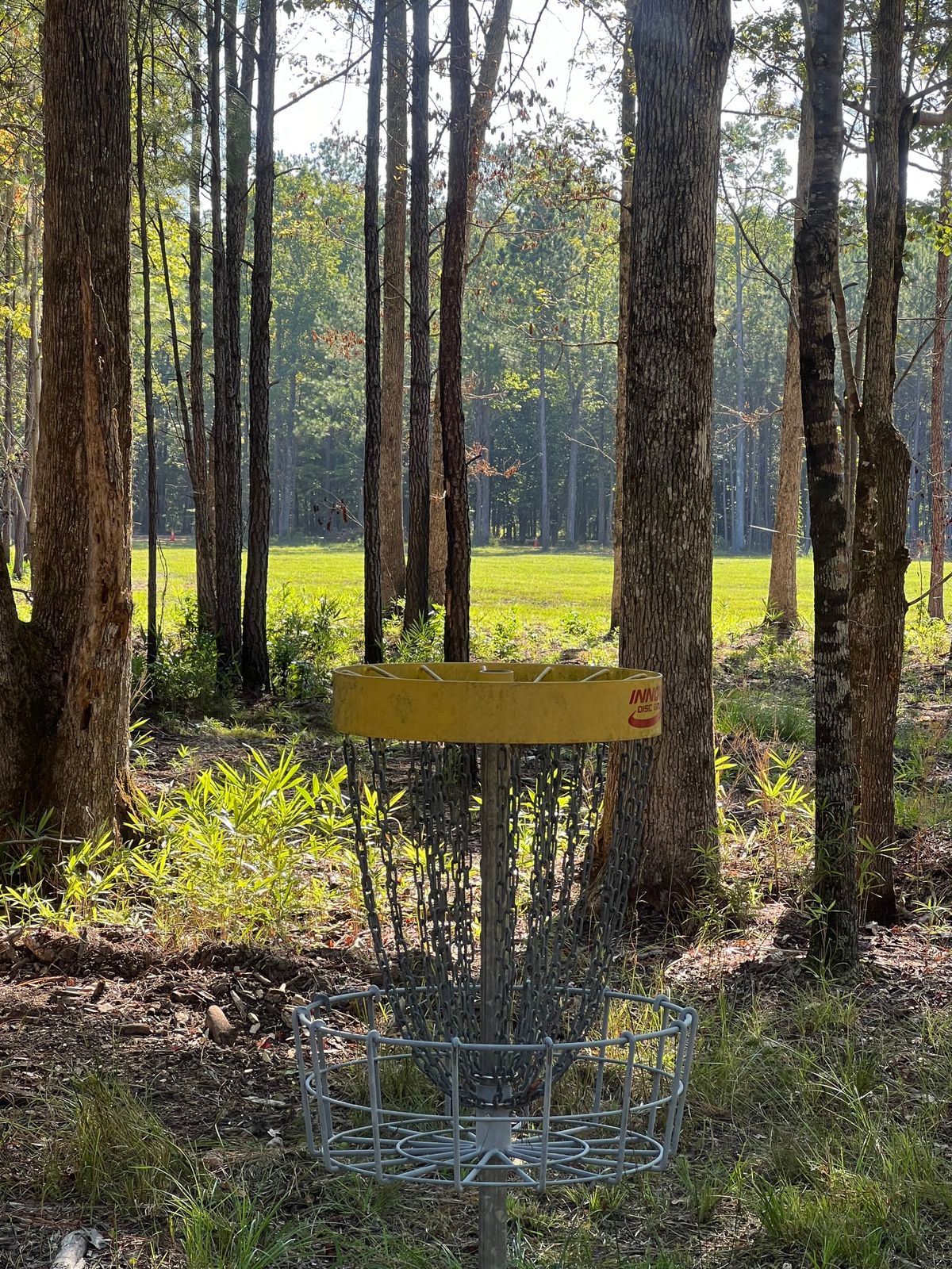 Hole 4 looking at the fairway