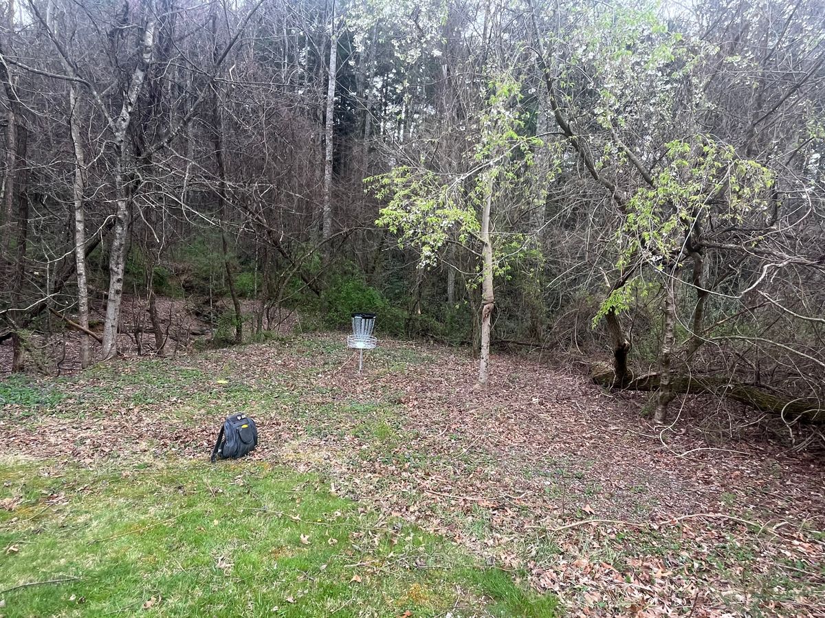 Hole six green