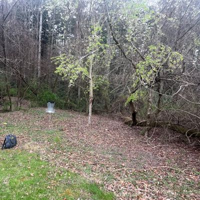 Hole six green