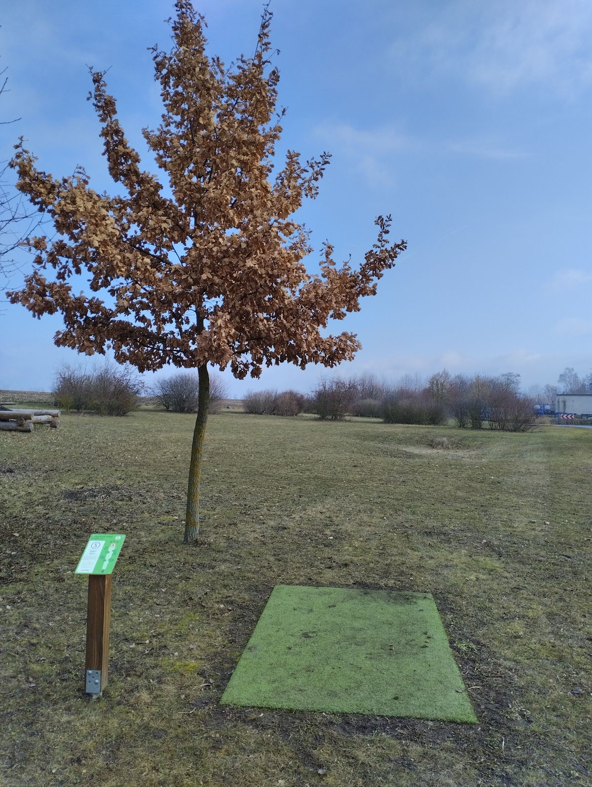 Výhoziště č.5