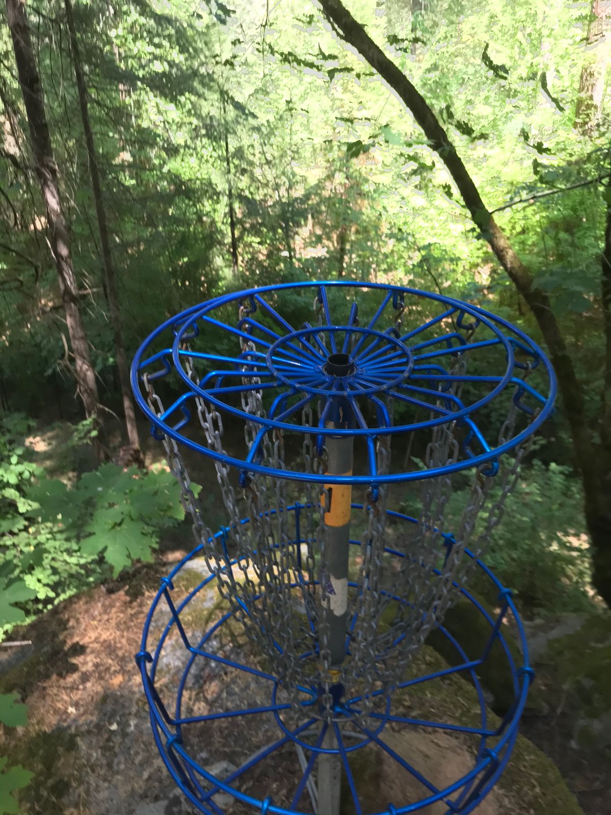 Hole 7 basket