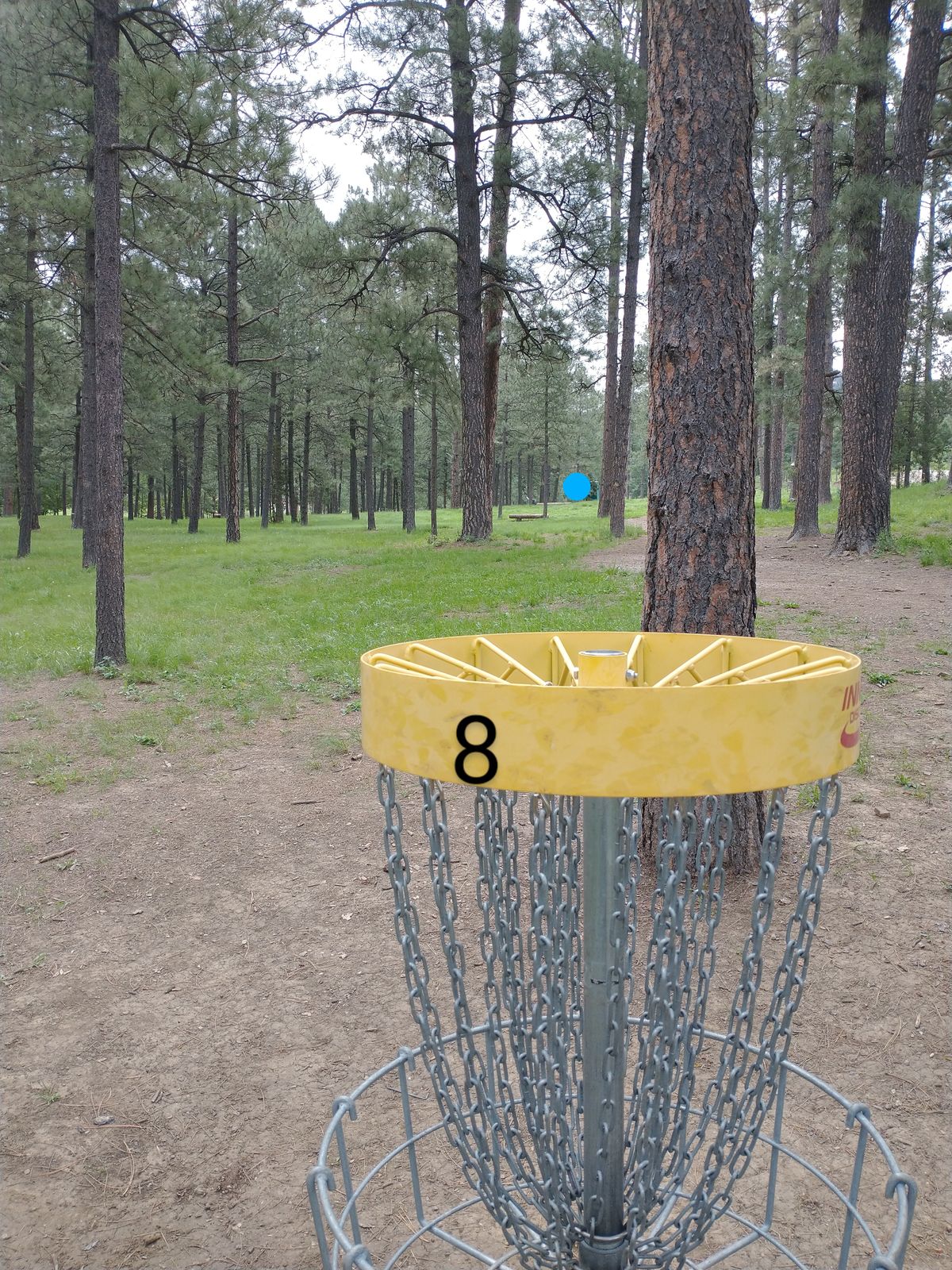 Basket 8