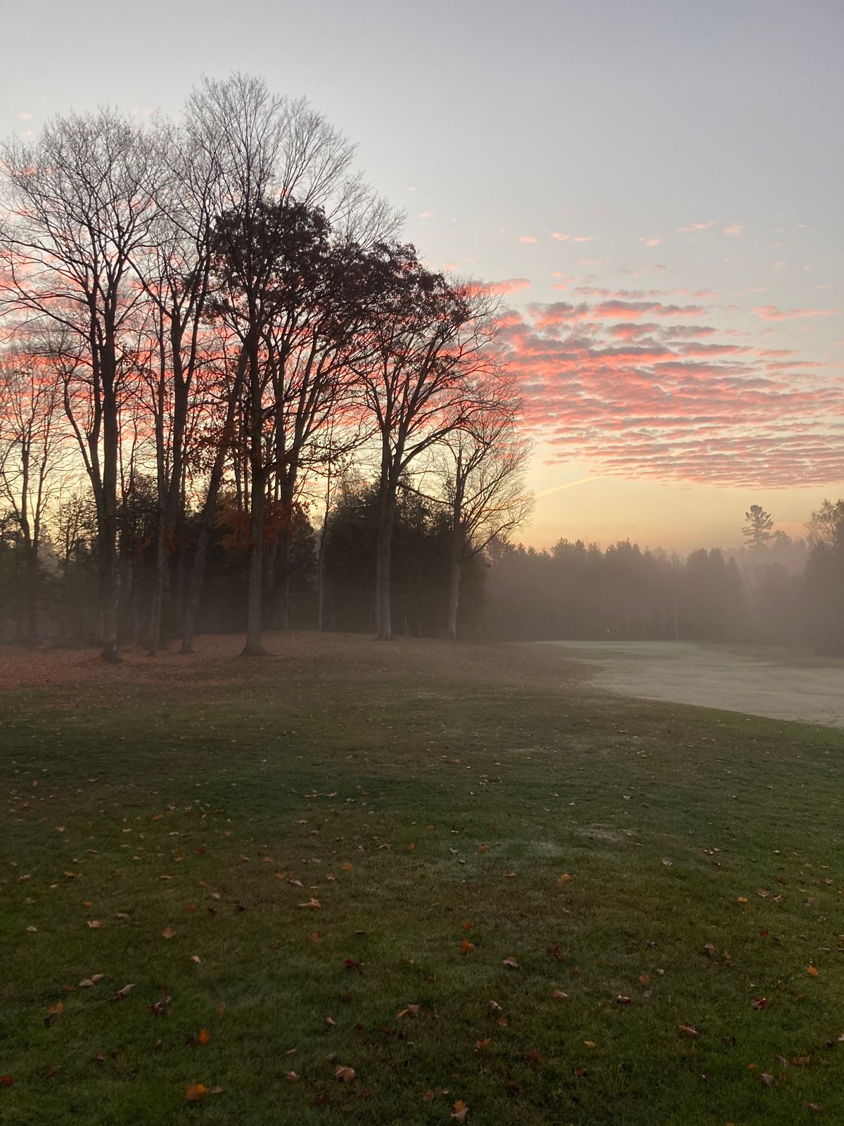 Hole #1