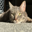 User avatar image