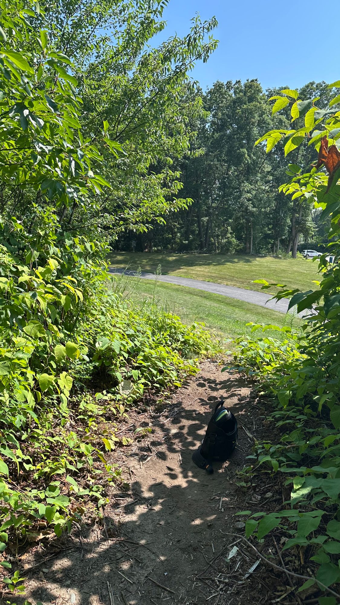 Hole 8 Tee