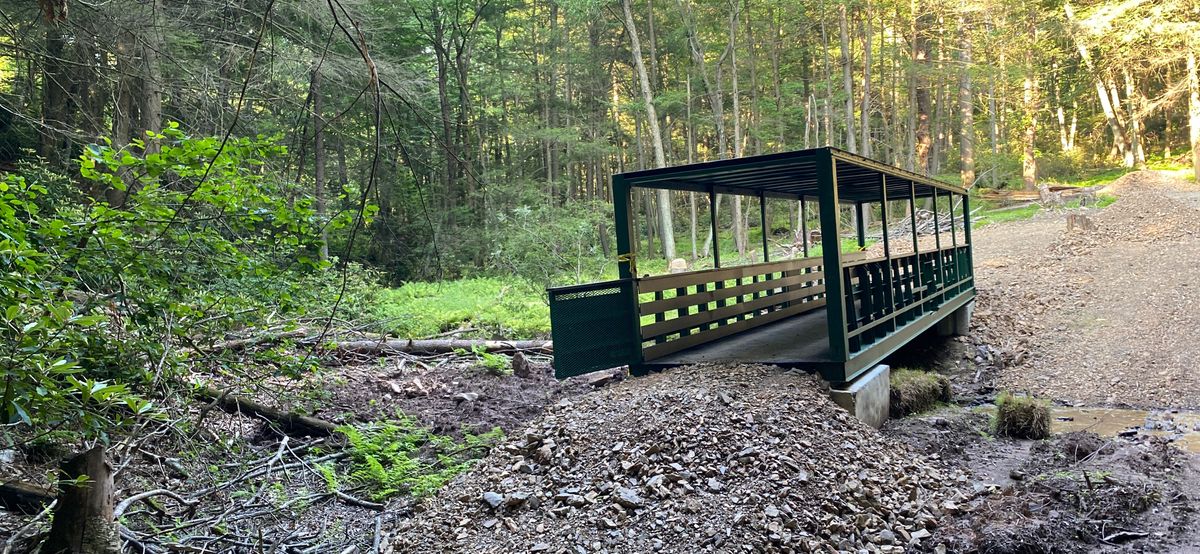 Upgraded new bridge?