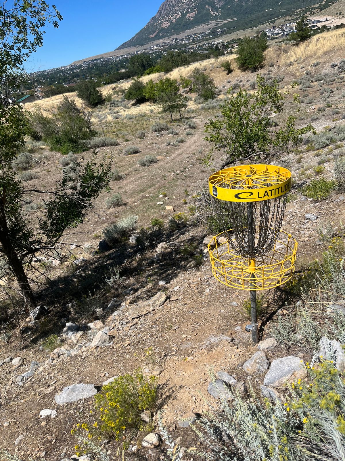 Hole 7 basket looking back at the tees