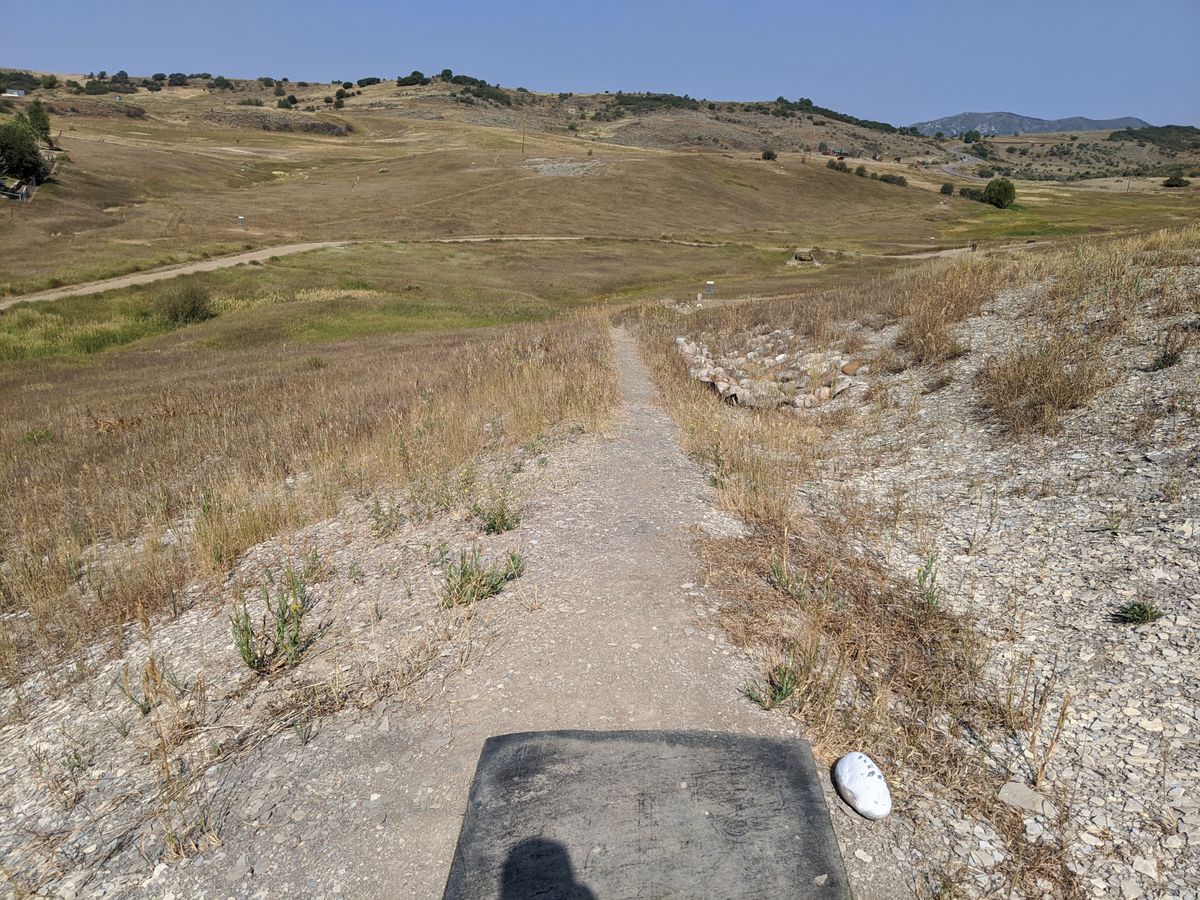 Tee 1