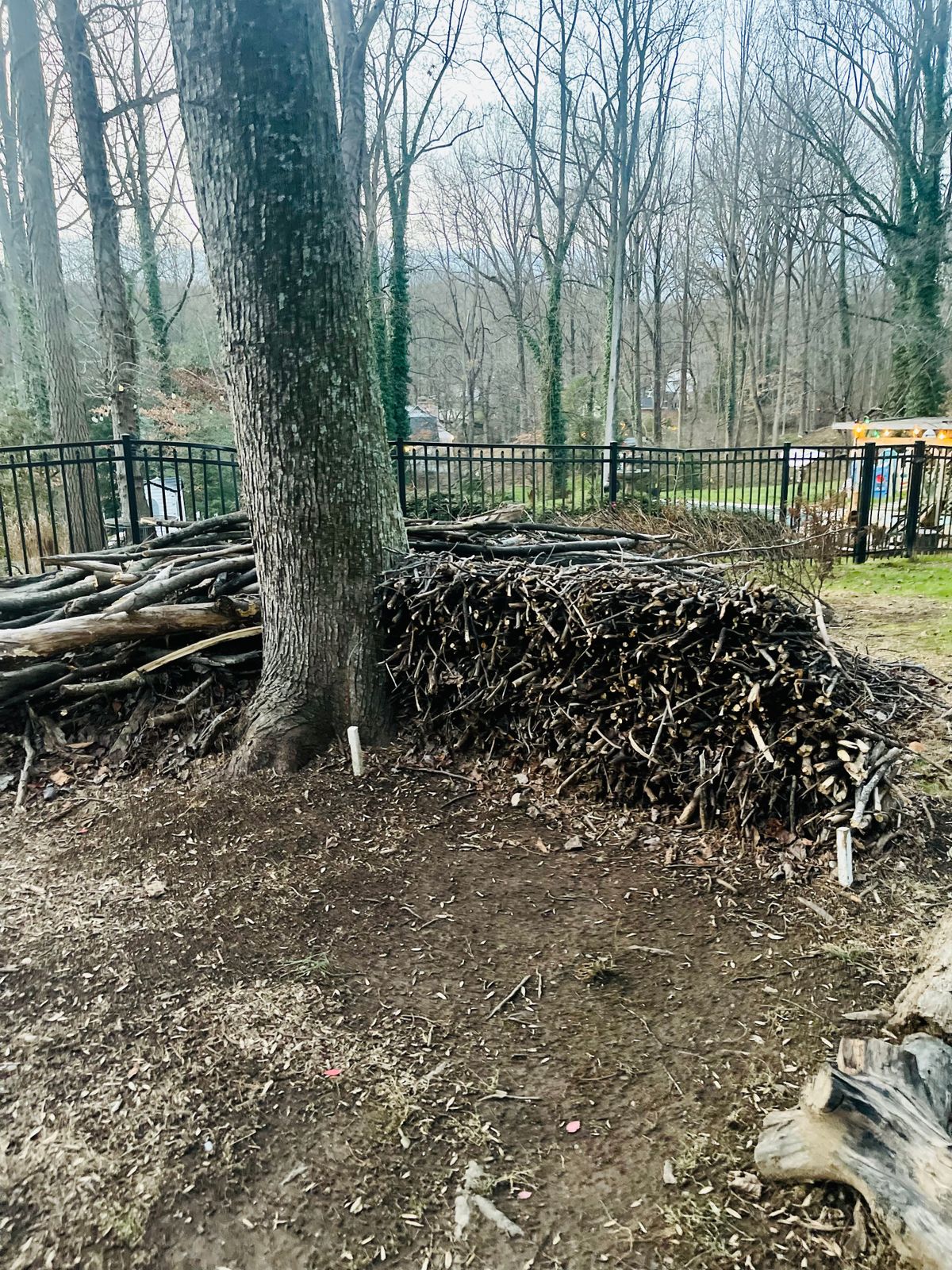 Hole 6 Teebox area 