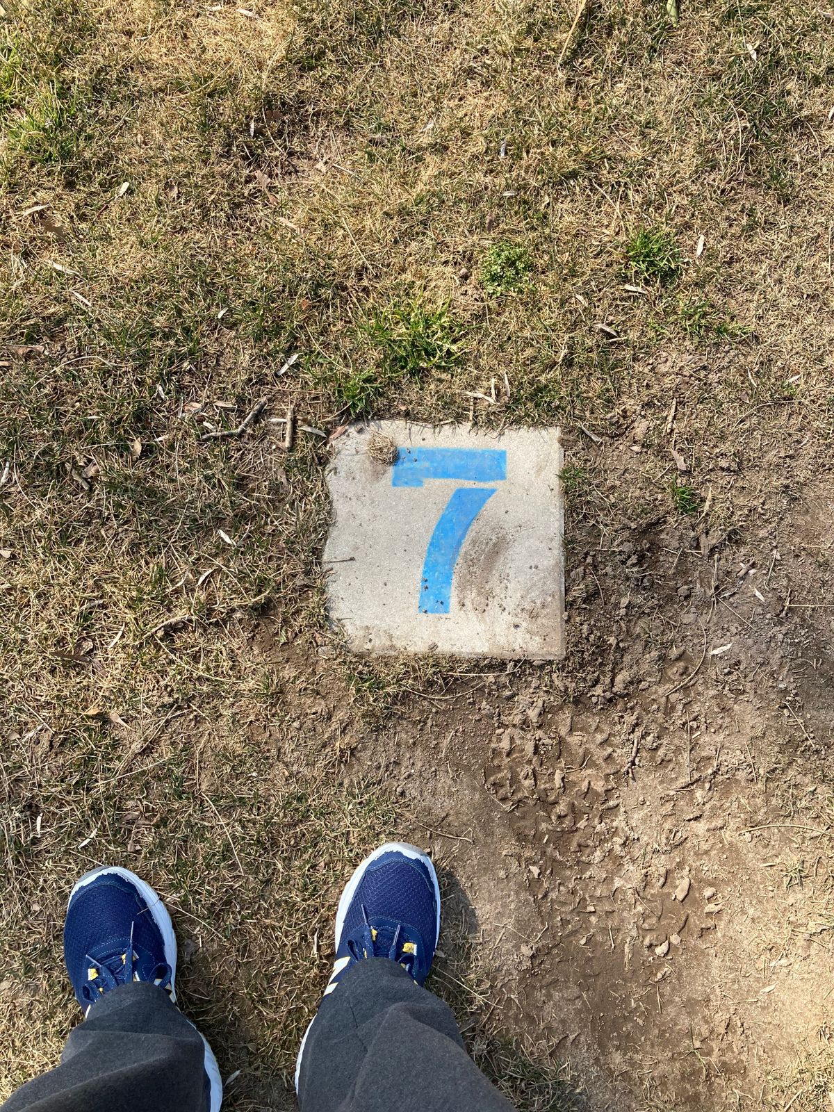 Tee 7