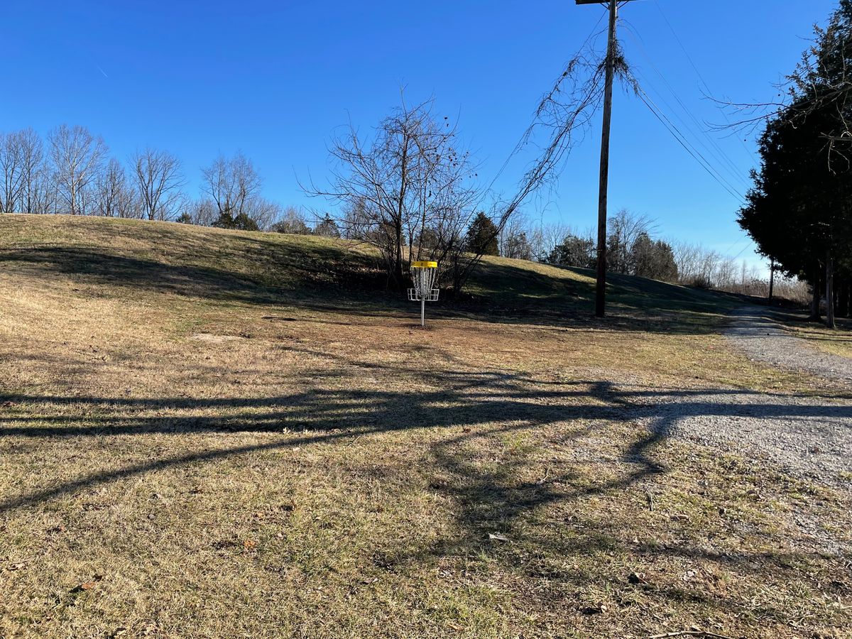 Hole 2 fairway and basket