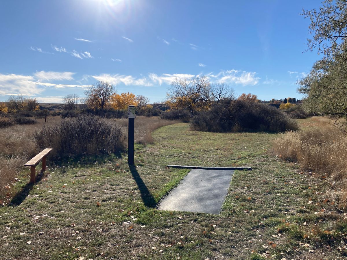 Hole 5 tee area