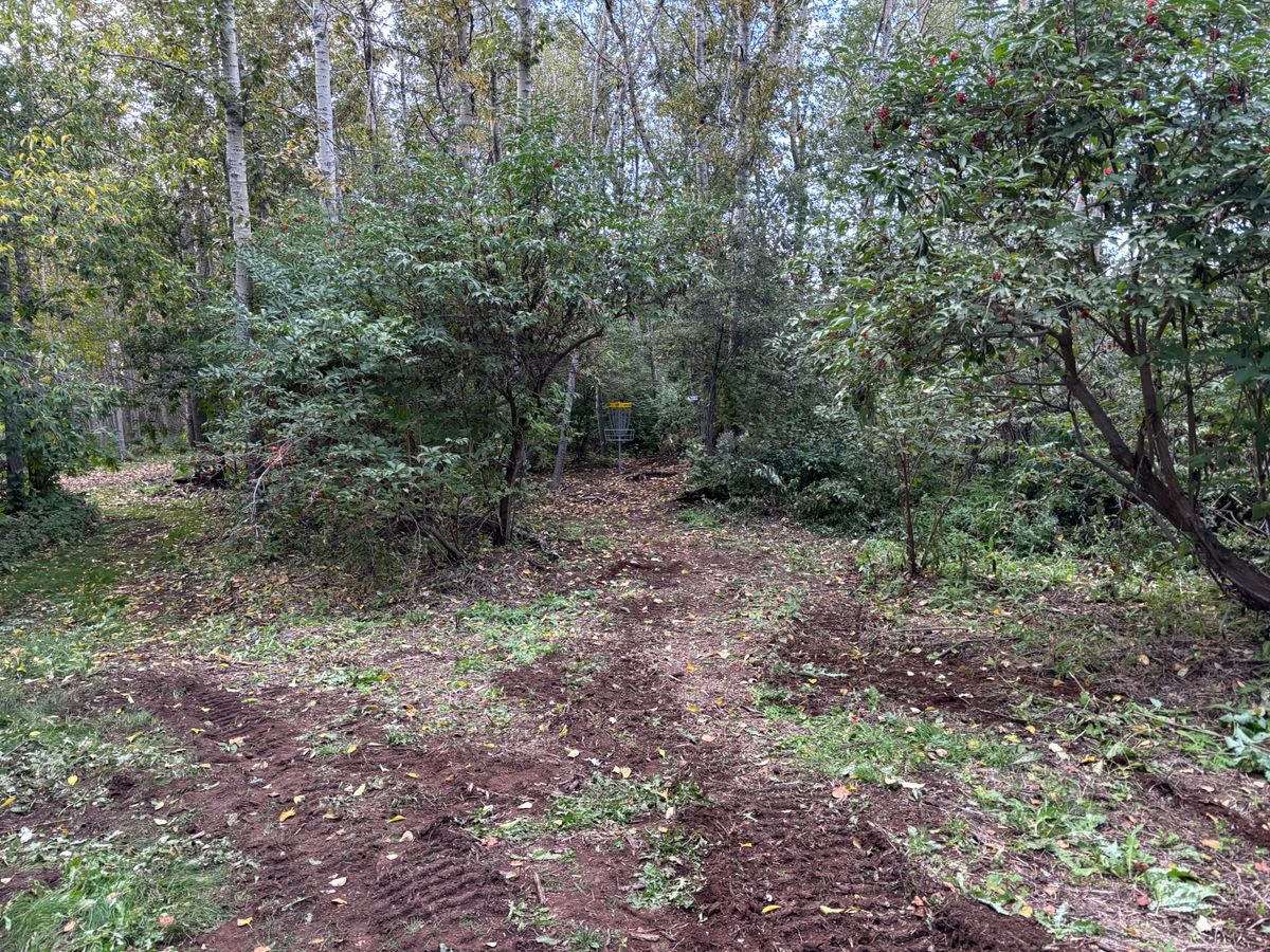 Hole 12 Approach