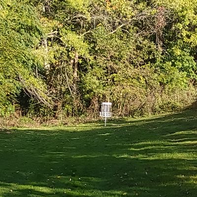 View of hole 8 after you make the right hand bend..I think a Mando on this hole may become something because theirs definitely a short cut.